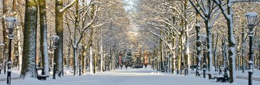 Sneeuw op het Lange Voorhout in Den Haag Sneeuw op het Lange Voorhout in Den Haag